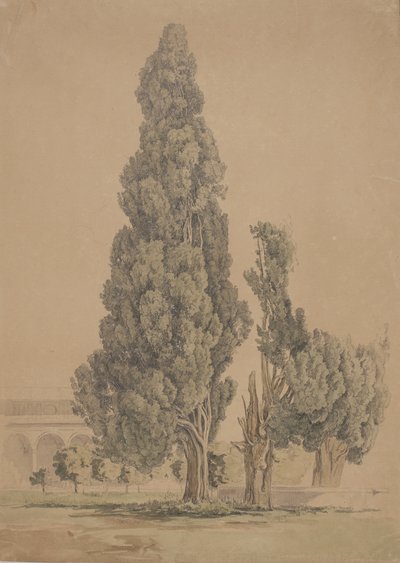 Cypresser av Thorald Brendstrup