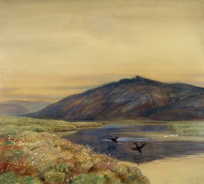 Landskap med fåglar av Thorolf Holmboe