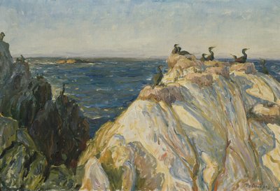 Sjöfågel av Thorolf Holmboe
