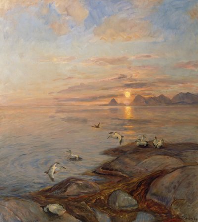 Sjöfåglar i midnattssol (olja på duk) av Thorolf Holmboe