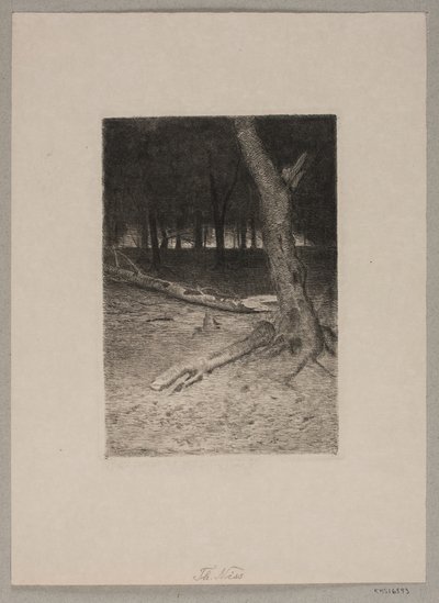 Skogsinteriör. Kväll av Thorvald Niss