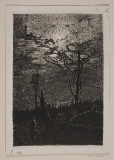 Avskogning. Kväll av Thorvald Niss