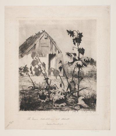 Solrosorna vid huset av Thorvald Niss