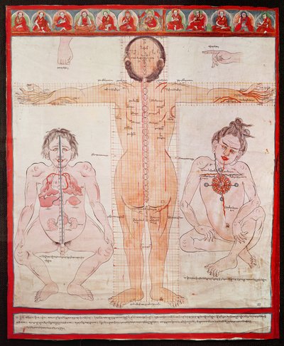 Anatomical Chart, 1938 (penna och akvarell på tyg på duk) av Tibetan School