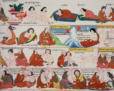 Manuskript om tibetansk medicin (detalj av 389729) av Tibetan School