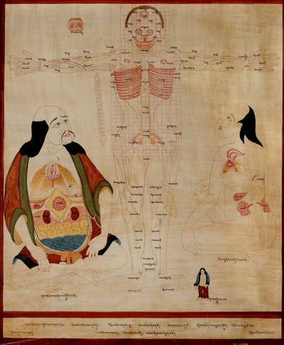 Manuskript som visar meridianpunkterna; av Tibetan School