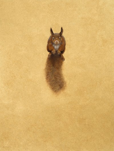 Leaping Red Squirrel - (akvarell och gouache på papper) av Tim Hayward