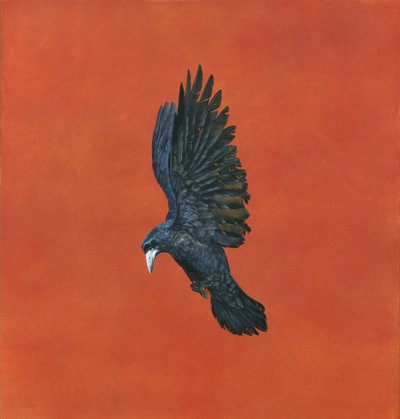 Shine-Red, (Akvarell och gouache på Arches 640gsm papper,) 101,6 x 91,4 cm av Tim Hayward