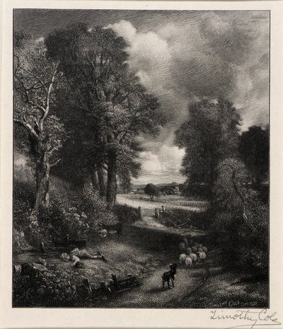 Kornfält av Timothy Cole