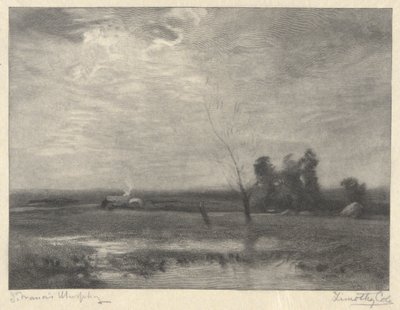 Landskap, eftermiddag av Timothy Cole