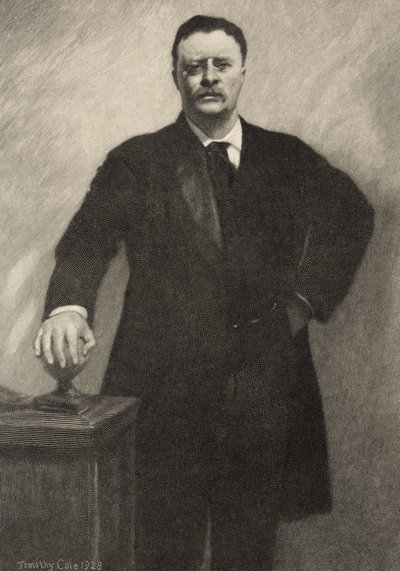 Theodore Roosevelt, 1928 av Timothy Cole