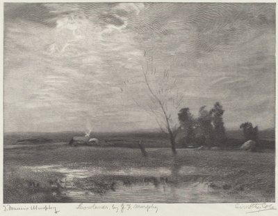 Låglandet av Timothy Cole after John Francis Murphy
