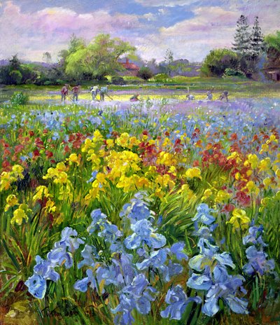 Hoeing Team och Iris Fields av Timothy Easton