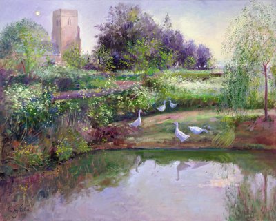 Sundown Reflectionsswed av Timothy Easton