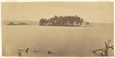 [Dariénnäset (Panama)] av Timothy H. O