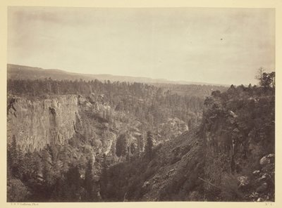 North Fork Cañon, Sierra Blanca Creek, Arizona av Timothy O