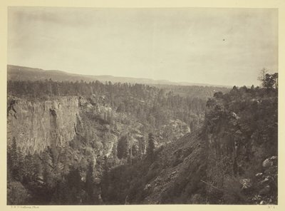 North Fork Cañon, Sierra Blanca Creek, Arizona av Timothy O