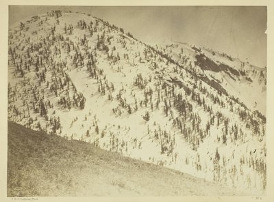 Snow Peaks, Bull Run gruvdistrikt, Nevada av Timothy O