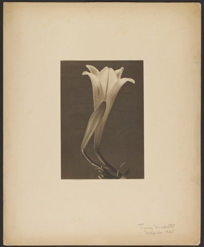 Nr 1. av Tina Modotti