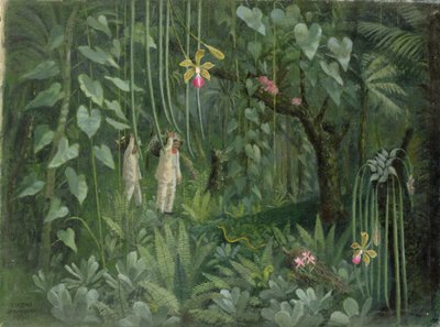 Orkidéjägare i Brasilien av Tirzah Ravilious