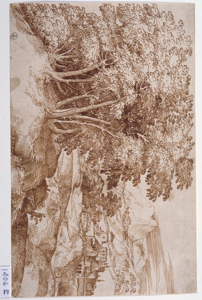 Landskap med träd till vänster och en stad i bakgrunden (penna  bläck på papper) av Titian (c.1488 1576)