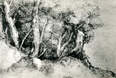 Skogslandskap, c1516-1518, 1937 av Tiziano Vecelli
