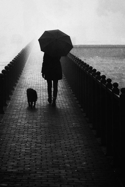 Promenad i dimman med hunden av Tito Mindoljevic