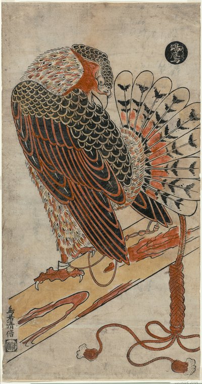 Sparrowhawk (Konori Taka) av Torii Kiyomasu I