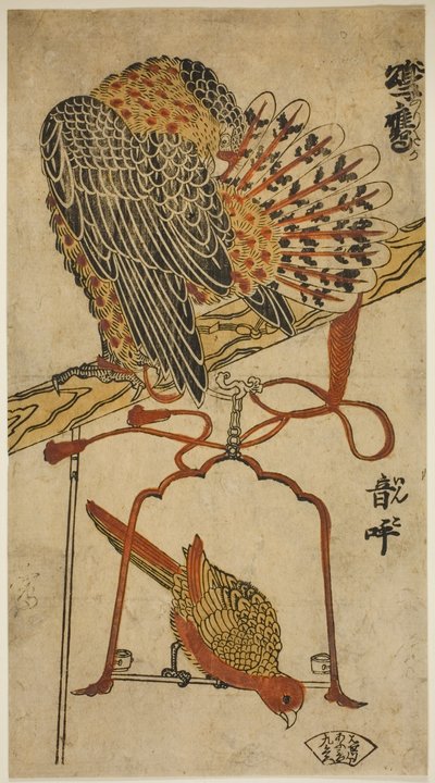 Sparrowhawk and Macaw (Sparrowhawk and Macaw) av Torii Kiyomasu I