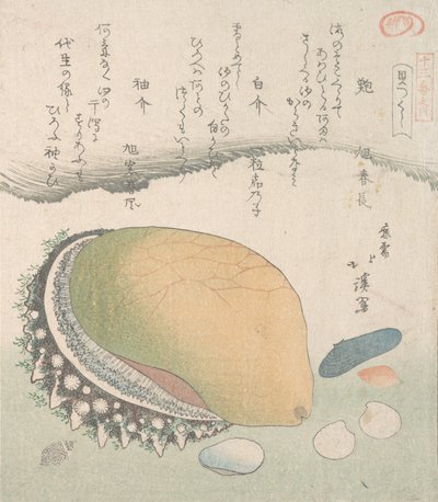 Awabi öronskal och olika skal, 1800-talet. av Totoya Hokkei