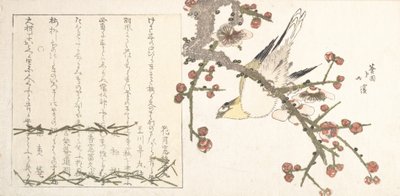 Busksångare på en plommongren Ume ni uguisu, tidigt 1800-tal. av Totoya Hokkei