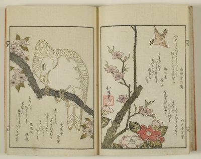Kyoka hyakucho Kocho av Totoya Hokkei