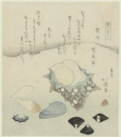 Lila skal, sötvattensmusslor och ett turbanskal Murasakigai shijimi sazae (titel på objekt) En serie skal (serietitel) Kaitsukushi (serietitel på objekt) av Totoya Hokkei