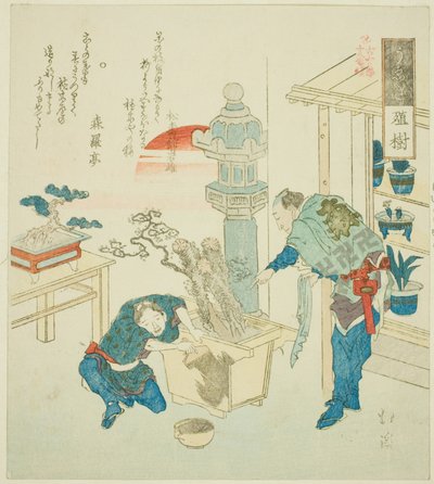 Krukväxt (Ueki), från serien "Arton illustrationer av forntida ords stege (Kogentei juhachiban tsuzuki)" av Totoya Hokkei