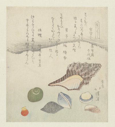 Reflektionsskal, elfenbensskal och tritonskal Utsusegai baishi hora (titel på objekt) En serie skal (serietitel) Kaitsukushi (serietitel på objekt) av Totoya Hokkei
