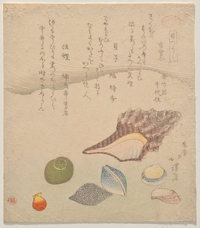 Seven Shells at the Edge of the Sea, från serien Shells Compendium (Kaizukushi) av Totoya Hokkei
