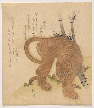 Tiger som slår en pose av Totoya Hokkei