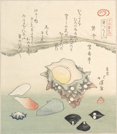 Top-Shell och olika snäckor, 1800-talet. av Totoya Hokkei