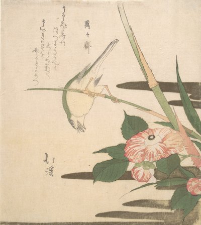 Sångare och kamelia, ca. 1815-20. av Totoya Hokkei