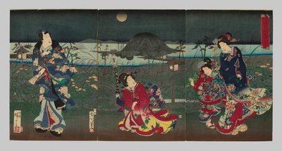 Genji Draw in Gifferent Styes: W of Akashibay av Toyohara Kunichika