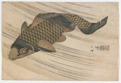 Carp Swimming Upstream, Edo-period, mitten av 1820-talet (trätryck i färg) av Toyota Hokkei