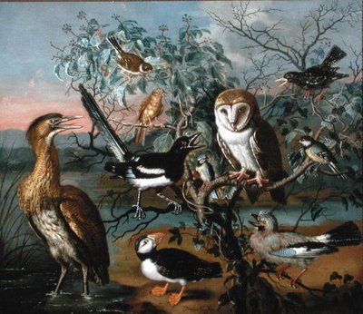 A Concert of Birds: en lunnefågel, nötskrika, talgoxe, bitter, stare, skata, gulhammare, rödsparv och kattuggla (olja på duk) av Trajan Hughes