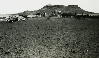 Vy över det arkeologiska området Naqa, med dromedarer och boskap, Sudan, fotografi av Ugo Monneret de Villard av Ugo Monneret de Villard