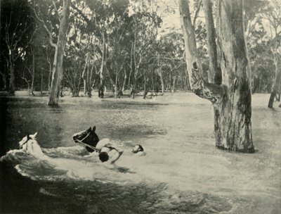 En bankman, 1901. av Unbekannt