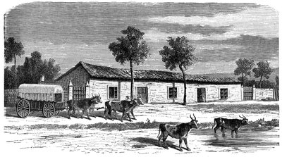 En boergård, Sydafrika, c1890 av Unbekannt