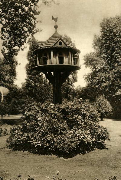 Ett duvslag - i trädgården hos Dowager Marchioness of Bute, St. Johns Lodge, Regents Park, 1920. av Unbekannt