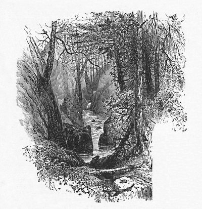En matare till sjön, 1883 av Unbekannt