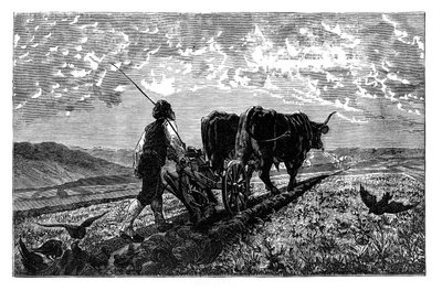 En fransk jordbrukare, ca 1890 av Unbekannt