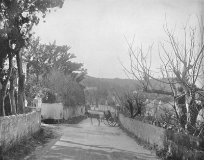 En väg i Port Royal, Bermuda, 1800-talet av Unbekannt