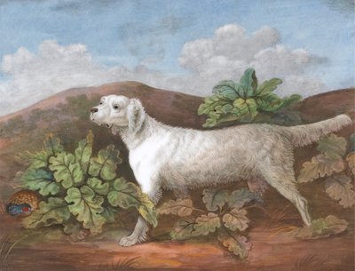 En setter: vänd åt vänster, med en rapphöna som gömmer sig bland kardborrar till vänster, ca. 1805. av Unbekannt
